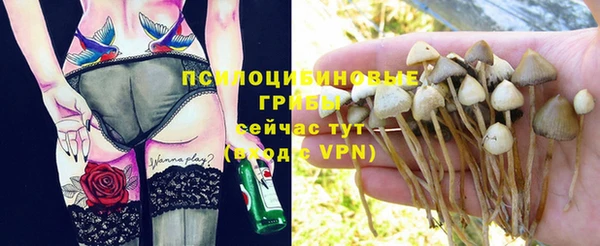 дурь Осинники