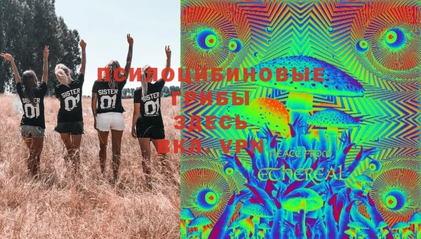 дурь Осинники