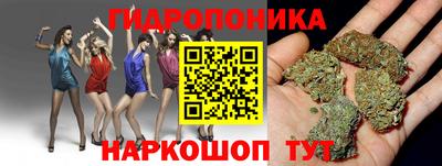 гидропоника Дубна