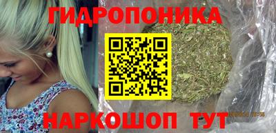 гидропоника Дубна