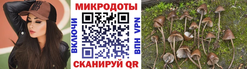 Галлюциногенные грибы мицелий  Ставрополь 