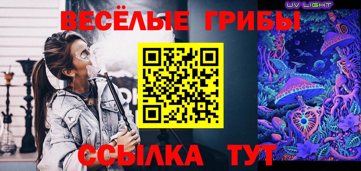 Ставрополь  Псилоцибиновые грибы MAGIC MUSHROOMS  Вход с VPN 